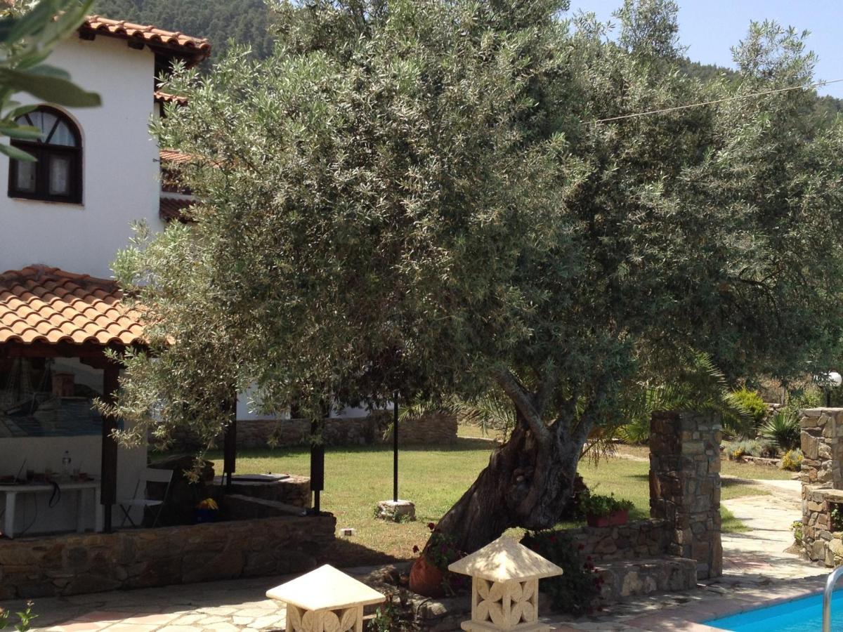 Vour 52 Daire Vourvourou Dış mekan fotoğraf